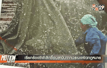 เรียกร้องซีพีเลิกซื้อปลาป่นจากประมงผิดกฎหมาย