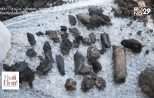 ญาติผู้สูญหายในเม็กซิโกเรียกร้องให้ตรวจ DNA