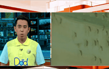 สถานการณ์ไข้เลือดออกระบาดหนักช่วงนี้