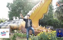 จระเข้บึงสีไฟเเห่งเมืองพิจิตร