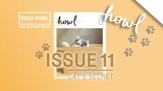 Cat’s Secret  เปิดทุกความลับที่เหล่าทาสแมวไม่เคยรู้ใน “HOWL ISSUE 11”
