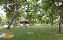 เตรียมปรับปรุงโครงสร้างสวนลุมพินีทั้งระบบ