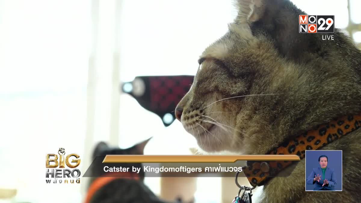 Big hero พลังคนดี ตอน Catster by Kingdomoftigers คาเฟ่แมวจร