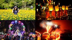 สนุกสนานทั่วไทย กับ เทศกาลท่องเที่ยว เดือนพฤศจิกายน 2562