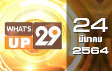 What’s up 24-03-64