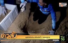 ขุดย้ายไข่เต่ามะเฟืองรังที่ 2 ของฤดูกาล