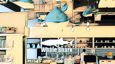 บุกเมืองฉลาม ‘Whale Shark Books’ เมืองนักล่าการเรียนรู้