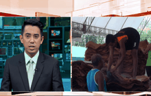 พร้อมซื้อยางพาราในราคาชี้นำตลาด