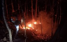 เจ้าหน้าที่ควบคุมไฟป่าดอยอินทนนท์ได้แล้ว