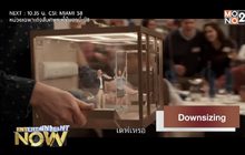 Downsizing