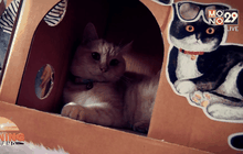 Good Morning Thailand 29-09-58