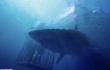 หนังฉลาม 47 Meters Down เปิดตัวแรงติดอันดับหนังอินดี้ทำเงินสูงสุด