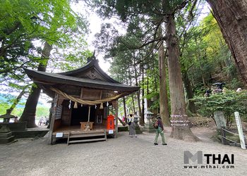 ดื่มด่ำตำนานเทพเจ้ามังกร ณ ศาลเจ้าเท็นโซ ยูฟุอิน ญี่ปุ่น