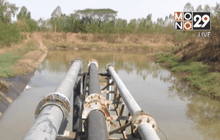 ผลกระทบจากภัยแล้ง