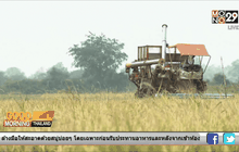 นายกฯ ประกาศแผนลดพื้นที่ปลูกข้าวนาปรัง