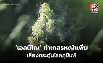 พบ ‘เอลนีโญ’ ทำเกสรหญ้าเพิ่มขึ้น เสี่ยงกระตุ้นโรคภูมิแพ้