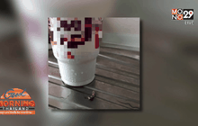 หนุ่มแทบอ้วก เจอจิ้งจกตายในแก้วน้ำร้านฟ้าสต์ฟู้ด