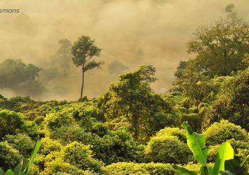 พยากรณ์อากาศ 26 ธ.ค.