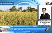 จับตาอนาคตข้าวไทย