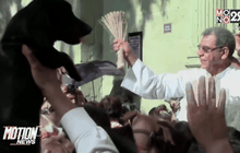 สัตว์เลี้ยงรับพรในเม็กซิโก