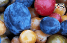 ต้นไม้ไฮบริดในสหรัฐฯ ออกผล 40 ชนิด