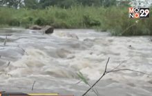 ฝนตกชุกป่าแม่วงก์ น้ำป่าทะลัก