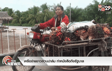 เครือข่ายชาวสวนปาล์ม ทำหนังสือถึงรัฐบาล
