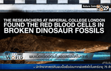 พบเนื้อเยื่ออ่อนในฟอสซิลไดโนเสาร์