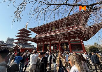 มูไม่ลับ! วิธีไหว้วัดเซนโซจิ ขอพรเรื่องอะไรดีที่แลนด์มาร์กโตเกียว