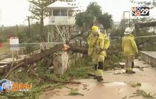 ออสเตรเลียเผชิญเหตุพายุลูกเห็บถล่ม