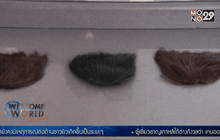 หมวกคัปปาเส้นผมมนุษย์