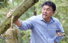 Next Millionaire ธุรกิจพิชิตรวย ตอน : “สวนละไม” ชูไอเดียบุฟเฟต์ผลไม้ ต่อยอดสู่ธุรกิจท่องเที่ยวยั่งยืน