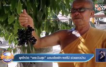 ยุคโควิด “พระปันสุข” มอบพืชผัก-ผลไม้ ช่วยชาวบ้าน