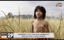 ผจญภัยไปกับ ภ.“The Jungle Book เมาคลีลูกหมาป่า” เย็นนี้ เวลา 18.00 น. ทางช่อง MONO29