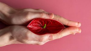 รีแพร์น้องสาว ปลอดภัยไหม ? ไขข้อสงสัยก่อนตัดสินใจทำ