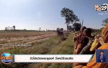 วัวไล่ขวิดพระธุดงค์ วิ่งหนีจีวรปลิว