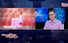 ความก้าวหน้า “สเต็มเซลล์’ ในการรักษาโรค ตอน2