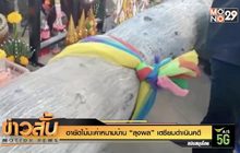 อายัดไม้มะค่าหนามบ้าน “ลุงพล” เตรียมดำเนินคดี