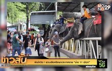 พิษโควิด ! สวนเสือศรีราชาประกาศขาย “ช้าง 11 เชือก”