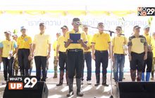 กฟผ.โครงการพัฒนาพื้นที่ป่าชายเลนภาคใต้