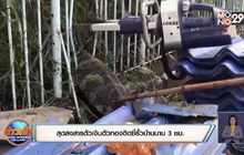 สุดสงสารตัวเงินตัวทองติดซี่รั้วบ้านนาน 3 ชม.