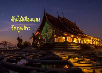 ไฮไลท์เมืองอุบล ยลความงามยามค่ำคืน ต้นไม้เรืองแสงที่ วัดภูพร้าว