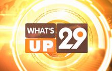 What’s up 29
