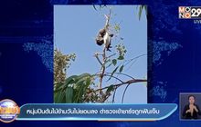 หนุ่มปีนต้นไม้ข้ามวันไม่ยอมลง ตำรวจเข้าชาร์จถูกฟันเจ็บ