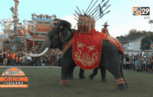 กิจกรรมวันช้างไทยทั่วประเทศคึกคัก