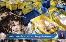 เจออีก “ไอซ์-เฮโรอีน” กว่า 500 ล้าน ซุกป่าใกล้ชายแดน