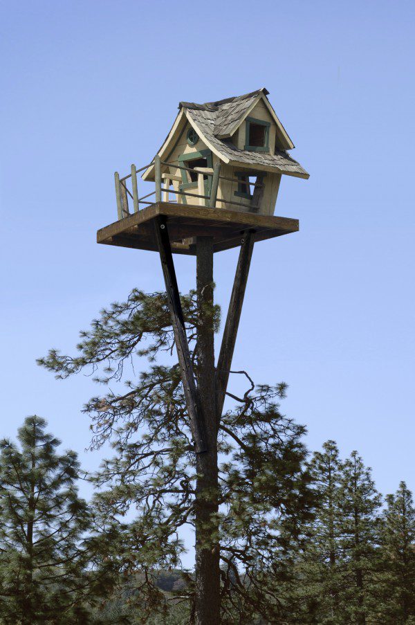 Tree house at the top of a ponderosa pine tree