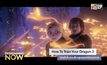 How To Train Your Dragon 3 เปิดตัวในอเมริกาสูงสุดเหนือทุกภาค