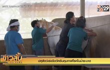 ปศุสัตว์เร่งฉีดวัคซีนคุมกาฬโรคในม้าระบาด