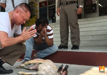 คนรักหมาสุดทน! แจ้งตำรวจจับเขมร เตรียมชำแหละหมากินอ้างกัดไก่ชน
